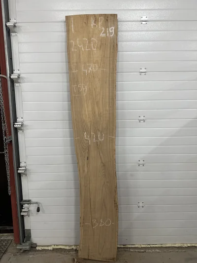 Слэб карагач