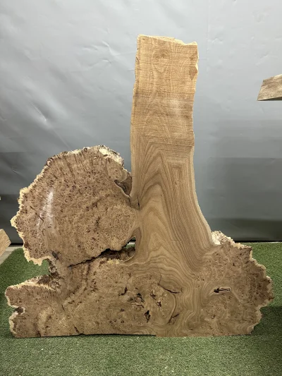 Слэб карагач