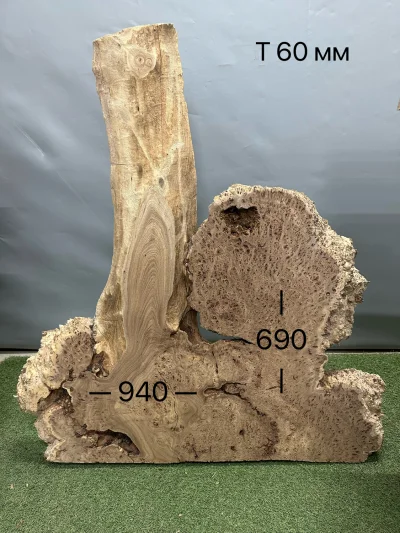 Слэб карагач