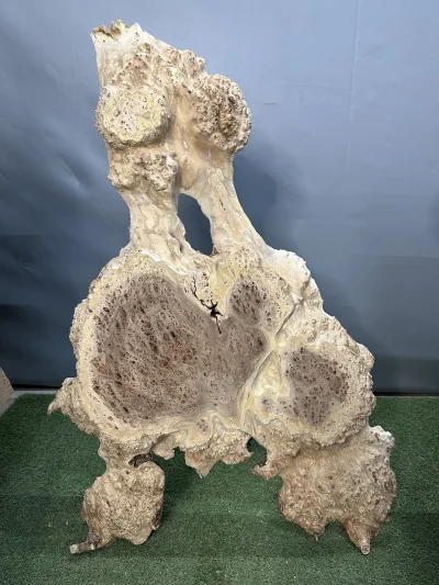 Слэб карагач