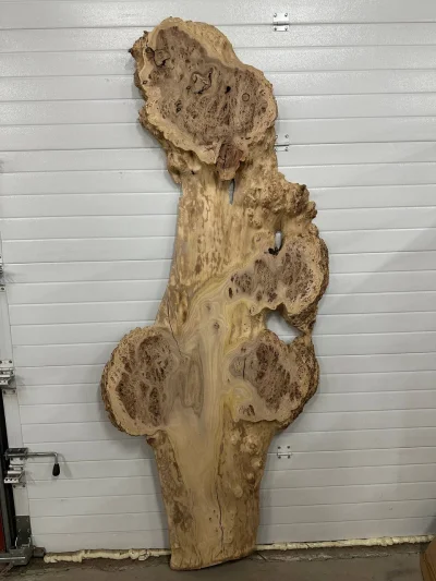 Слэб карагач