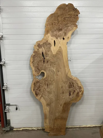 Слэб карагач