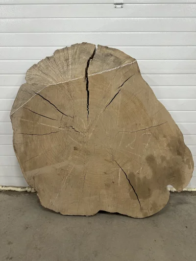 Спил карагача