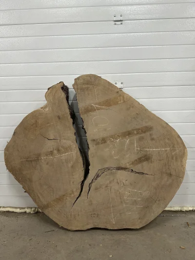 Спил карагача