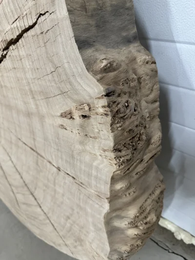 Спил карагача