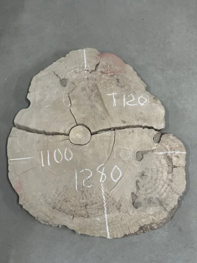 Спил карагача