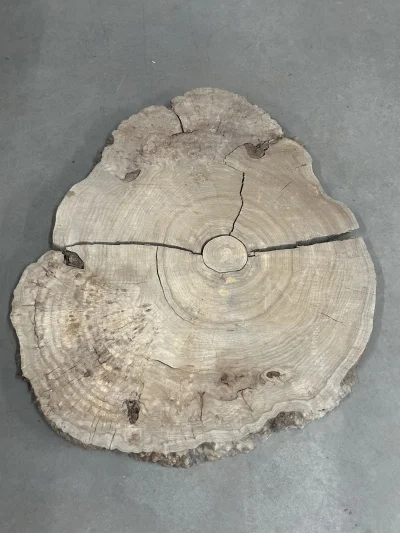 Спил карагача