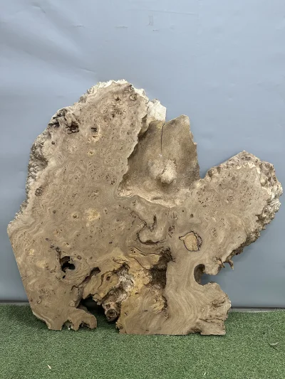 Слэб карагач