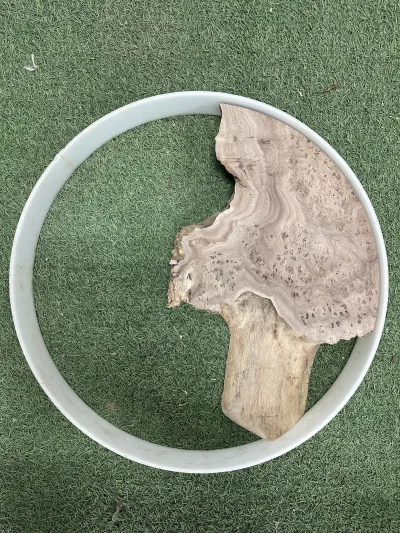 Заготовка из карагача 